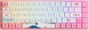 AKKO Wireless - 3068B Plus World Tour Tokyo + Jelly Purple A
