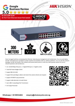 HIKVISION DS-3E1318P-EI 16+3 PORT POE SWITCH 300m Watchdog