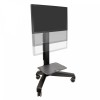 Ergotron 24-190-085 Neo-Flex? Mobile MediaCenter LD