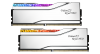 Gskill MM 4170 F5-6000J2836F24GX2-TR5NS